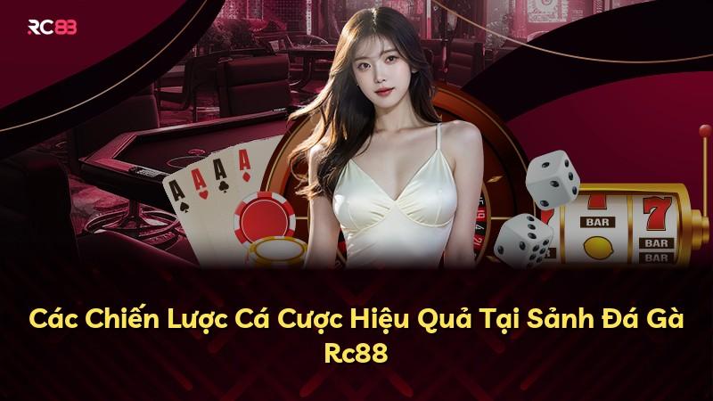 Các Chiến Lược Cá Cược Hiệu Quả Tại Sảnh Đá Gà Rc88