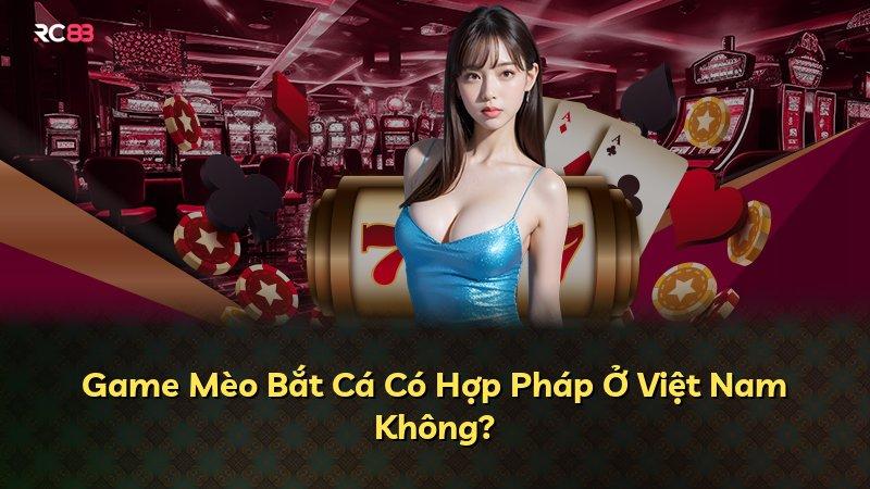 Game Mèo Bắt Cá Có Hợp Pháp Ở Việt Nam Không?