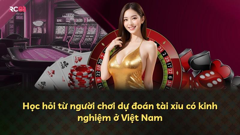 Học hỏi từ người chơi dự đoán tài xỉu có kinh nghiệm ở Việt Nam