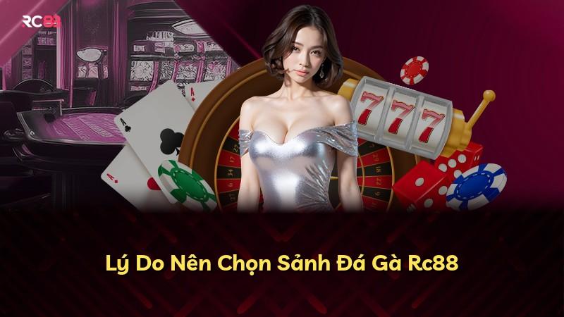 Lý Do Nên Chọn Sảnh Đá Gà Rc88