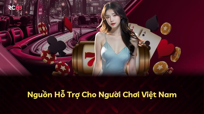 Nguồn Hỗ Trợ Cho Người Chơi Việt Nam