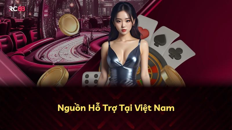 Nguồn Hỗ Trợ Tại Việt Nam