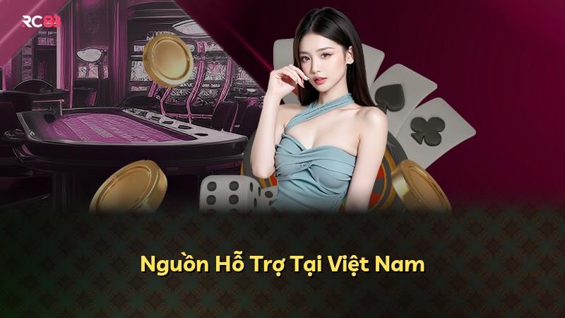 Nguồn Hỗ Trợ Tại Việt Nam