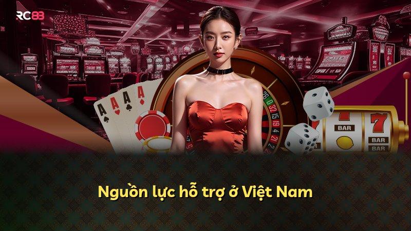 Nguồn lực hỗ trợ ở Việt Nam
