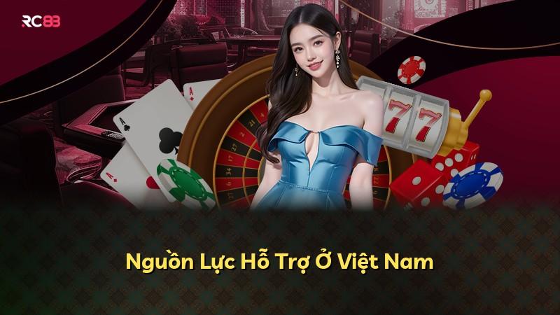 Nguồn Lực Hỗ Trợ Ở Việt Nam