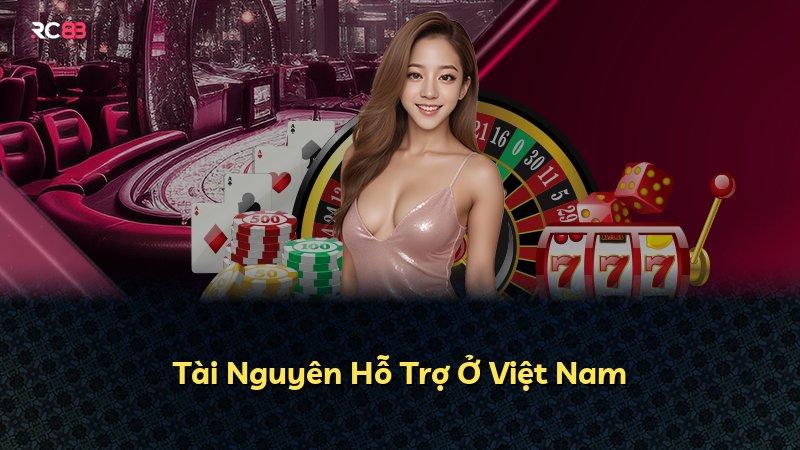 Tài Nguyên Hỗ Trợ Ở Việt Nam