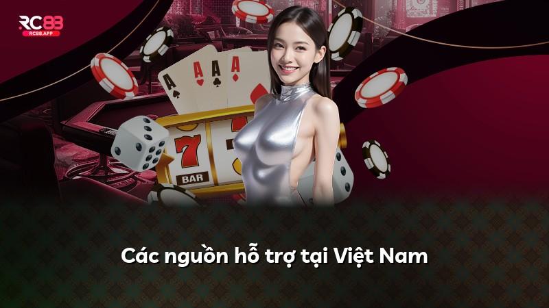 Các nguồn hỗ trợ tại Việt Nam