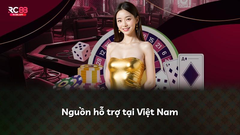 Nguồn hỗ trợ tại Việt Nam